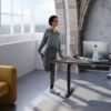 BDI Sequel Lift Desk