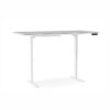BDI Lift Standing Desk (smaller)