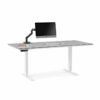 BDI Lift Standing Desk (smaller)