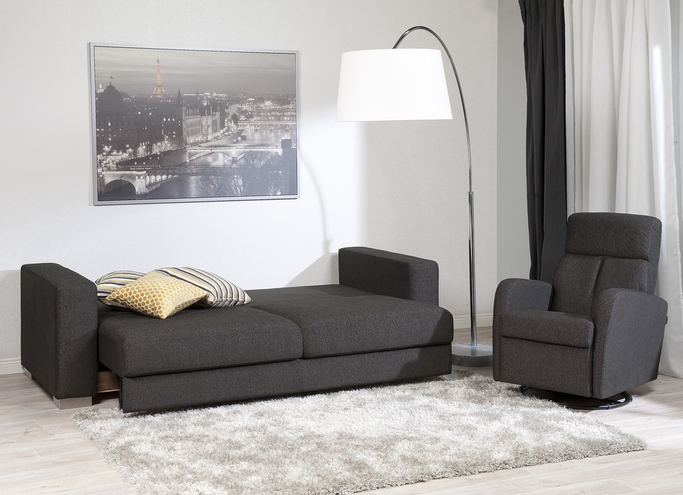Luonto Emery Sleeper Sofa