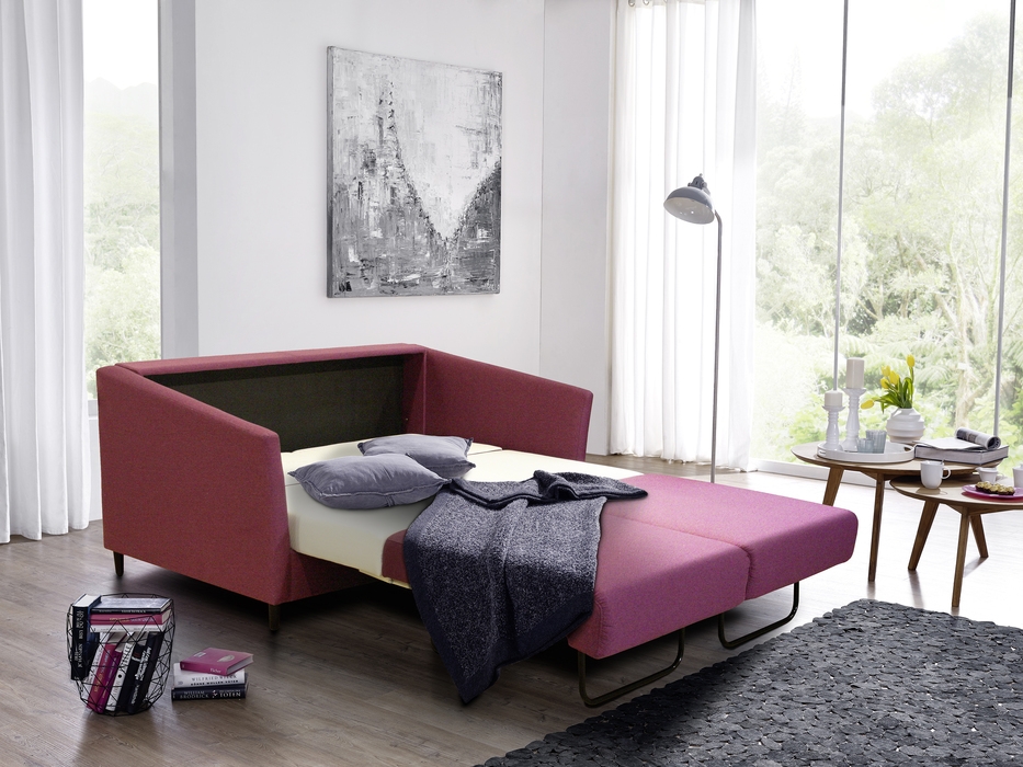 Luonto Erika Sleeper Sofa