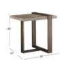 Modern Sea Shell End Table
