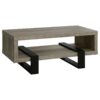 Dina Coffee Table in Grey Driftwood