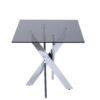 Genevieve Modern Rectangular Glass Top Dining Table