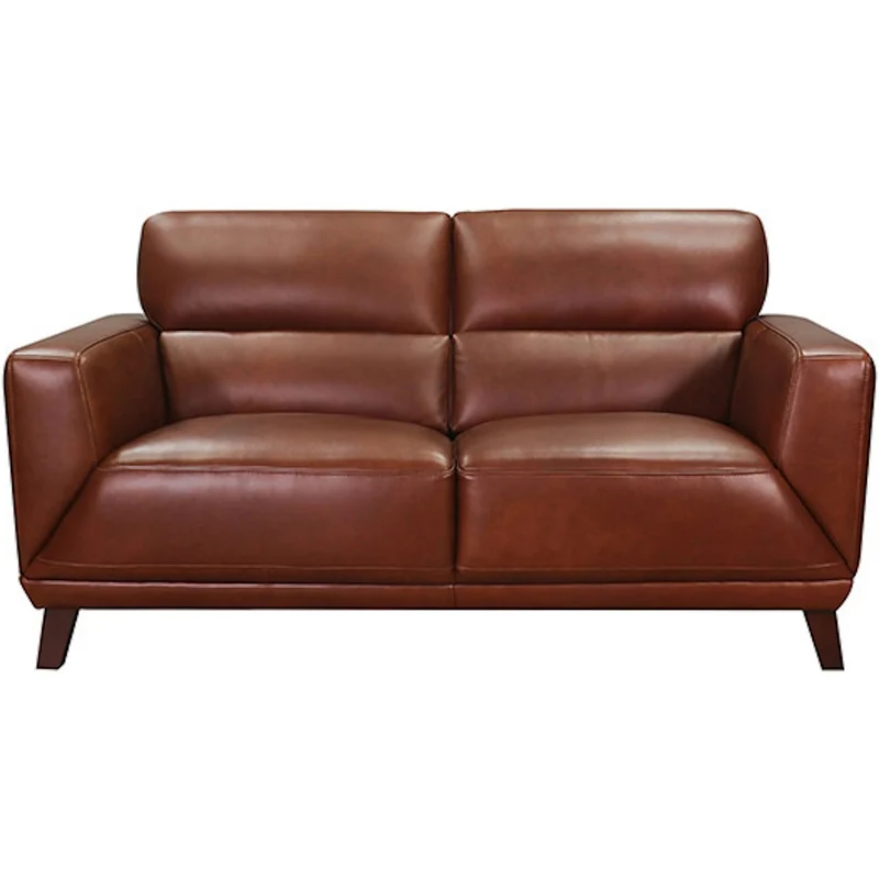 Jake Leather Loveseat