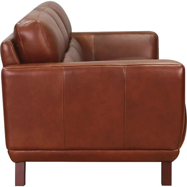 6876s2012-3 Jake Leather Sofa